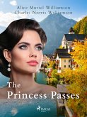 The Princess Passes (eBook, ePUB)