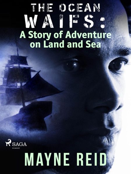 The Ocean Waifs: A Story of Adventure on Land and Sea (eBook, ePUB)
