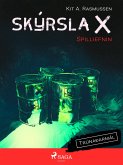 Skýrsla X - Spilliefnin (eBook, ePUB)