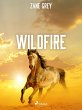 Wildfire (eBook, ePUB) - Bild 1