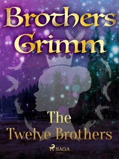 Cover The Twelve Brothers (eBook, ePUB)