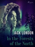 In the Forests of the North (eBook, ePUB)