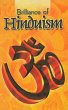 Brilliance of Hinduism (eBook, ePUB) - Bild 1
