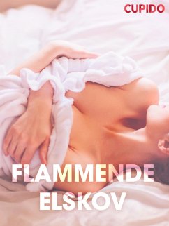 Cover Flammende elskov - erotiske noveller (NO) (eBook, ePUB)