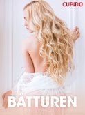 Båtturen – erotiske noveller (eBook, ePUB)