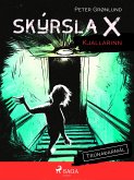 Skýrsla X - Kjallarinn (eBook, ePUB)