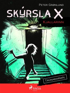 Skýrsla X - Kjallarinn (eBook, ePUB) - Grønlund, Peter