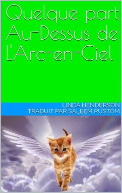 Cover Quelque part Au-Dessus de L'Arc-en-Ciel (eBook, ePUB)