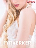 Fyrverkeri – erotiske noveller (eBook, ePUB)