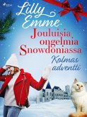 Jouluisia ongelmia Snowdoniassa: Kolmas adventti (eBook, ePUB)
