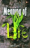 Meaning of Life (eBook, ePUB)