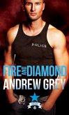 Fire and Diamond (eBook, ePUB)