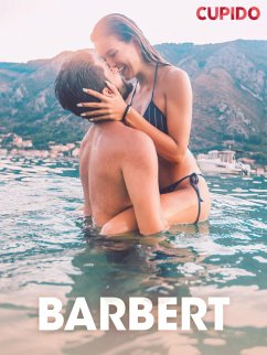 Cover Barbert - erotiske noveller (eBook, ePUB)
