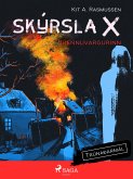 Skýrsla X - Brennuvargurinn (eBook, ePUB)