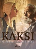 Kaksi (eBook, ePUB)