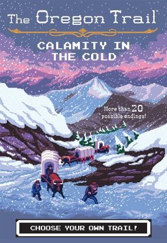 Calamity in the Cold (eBook, ePUB) - Wiley, Jesse