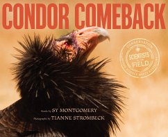 Cover Condor Comeback (eBook, ePUB)