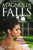 Secrets of Magnolia Falls (eBook, ePUB)