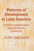 Patterns of Development in Latin America (eBook, ePUB)