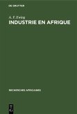 Industrie en Afrique (eBook, PDF)