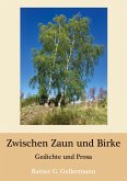 Zwischen Zaun und Birke