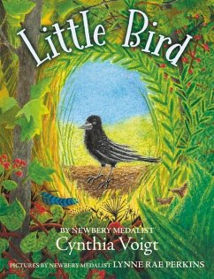 Little Bird - Voigt, Cynthia