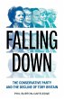 Falling Down - Bild 1