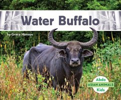 Water Buffalo - Hansen, Grace