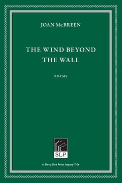 The Wind Beyond the Wall - McBreen, Joan