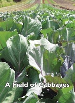 A Field of Cabbages - Frost, Allen
