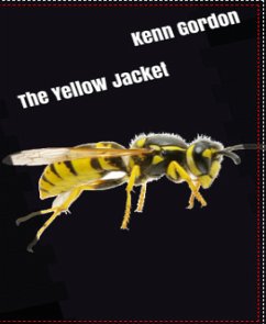 The Yellow Jacket (eBook, ePUB) - Gordon, Kenn