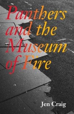 Panthers and the Museum of Fire - Craig, Jen; Kaiser, Bettina