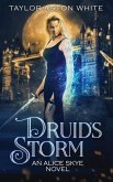 Druid's Storm: A Witch Detective Urban Fantasy