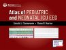 Atlas of Pediatric and Neonatal ICU Eeg - Bild 1