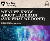 What We Know about the Brain (and What We Don't)