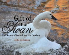 Gift of the Swan - Gochnauer, Jodie