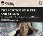 The Science of Sleep and Stress: How They Affect Creativity, Focus, and Memory
