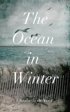 The Ocean in Winter - de Veer, Elizabeth