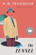 Tunnel (eBook, ePUB) - Bild 1