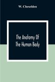 The Anatomy Of The Human Body