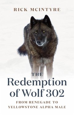 The Redemption of Wolf 302 - McIntyre, Rick