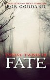 Twelve Twists Of Fate: a collection of short stories