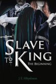 Slave to King: The Begining Volume 1