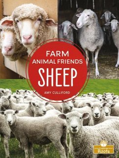 Sheep - Culliford, Amy