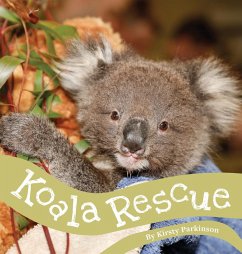 Koala Rescue - Parkinson, Kirsty