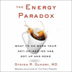 The Energy Paradox Lib/E: What to Do When Your Get-Up-And-Go Has Got Up and Gone
