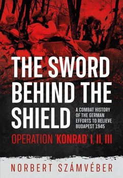 Cover The Sword Behind the Shield