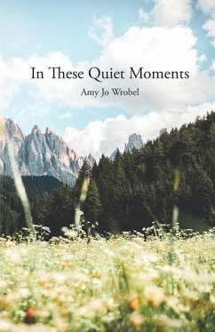 In These Quiet Moments - Wrobel, Amy Jo