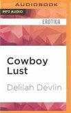 Cowboy Lust: Erotic Romance for Women