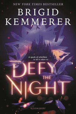 Defy the Night - Kemmerer, Brigid